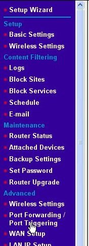 Router's port forwarding menu selection