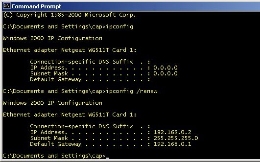 ipconfig /renew in a Command Prompt window