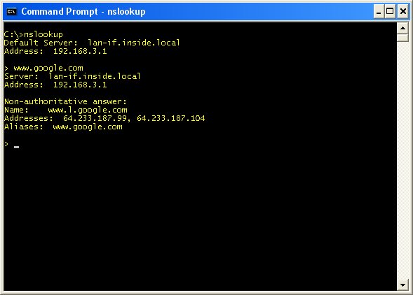 Result of doing an nslookup on www.google.com