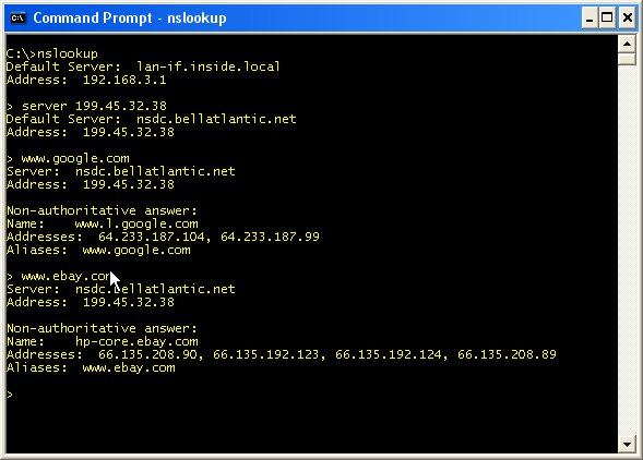 Doing an nslookup using an alternate DNS server